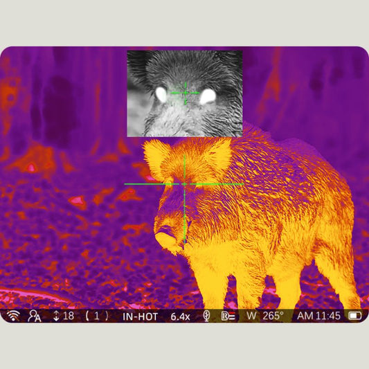 Pard Landsat 256 Mini