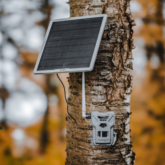 Spypoint Flex-M Vildtkamera Inkl. Powerbank Solpanel